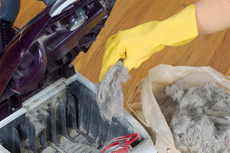 3 Reasons Why Bagged Vacuum Cleaners Haven’t Bit the Dust