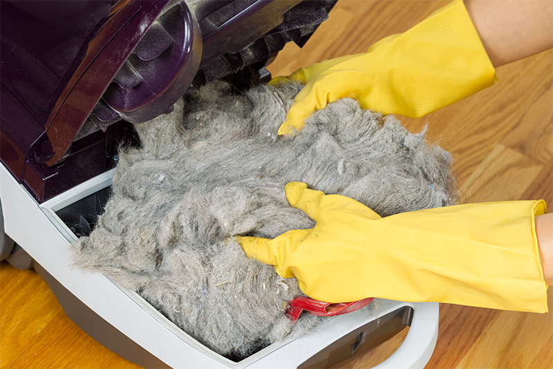 Gloved Hands Removing Dirt from Vacuum Cleaner